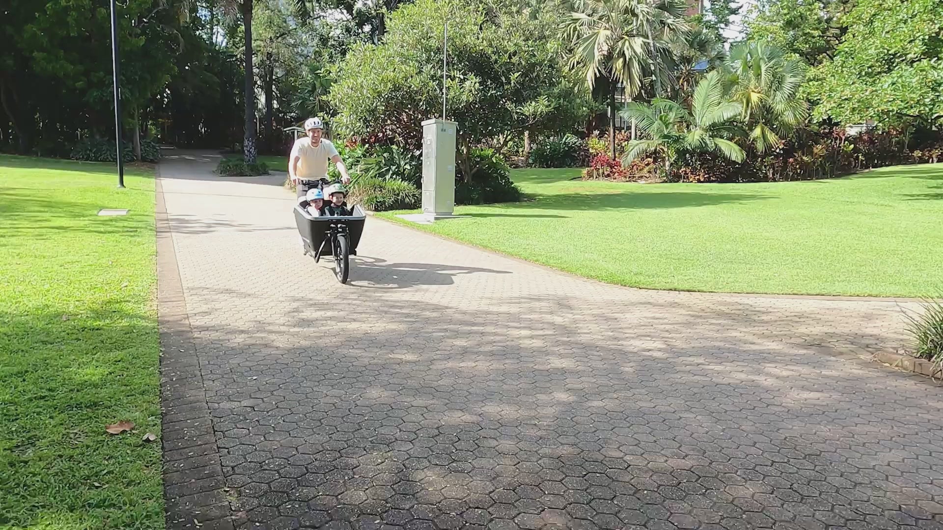Cube Cargo Dual Hybrid 1000 - Pedelec Cargo Bicycle | iridium n black