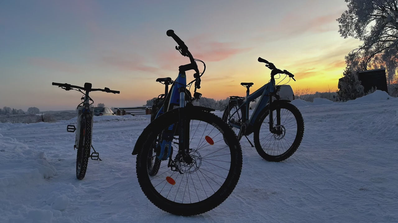 Kreidler - Vitality Eco 10 Cross