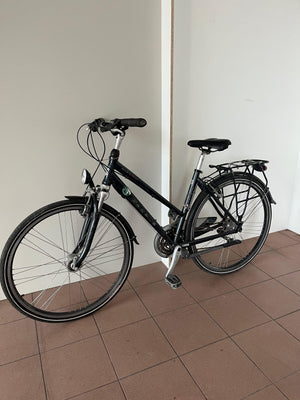 Gazelle Bicycle (RENT)