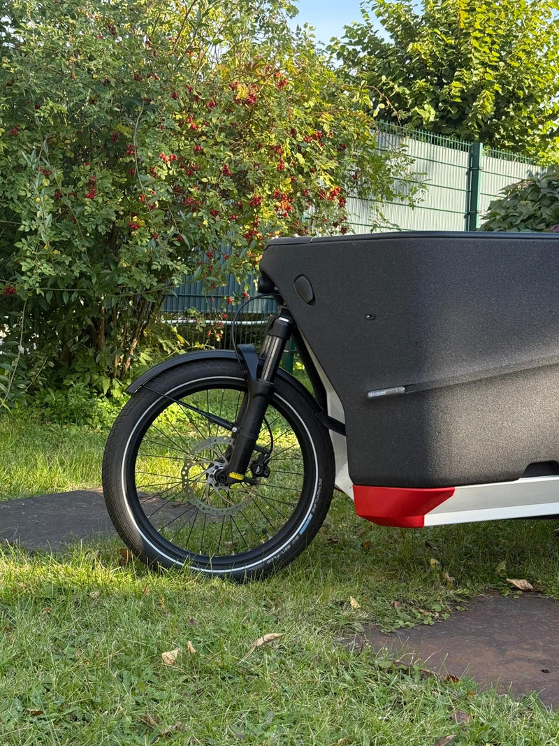 Riese Müller Packster 70
