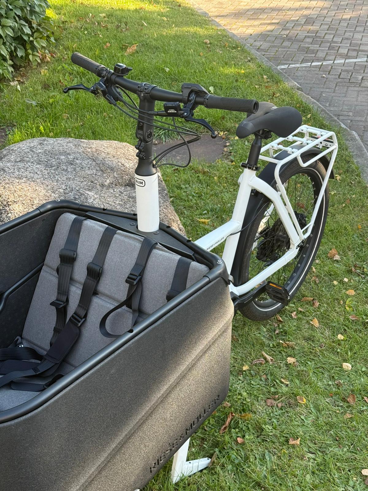 Riese Müller Packster 70