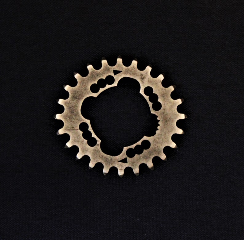 T24 BCD64 chainring